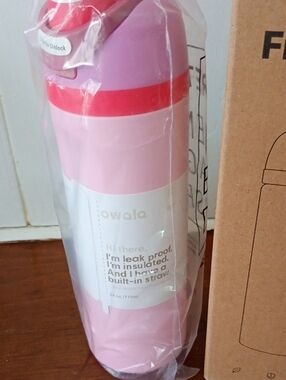 FreeSip Pink Insulated Leak-Proof Water Bottle with Built-In Straw By Owala